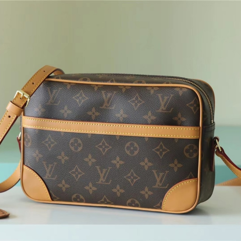 Louis Vuitton Bag